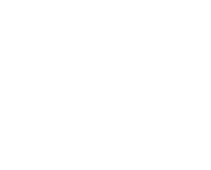 File:BAN-150-logoWhiteIFI.svg